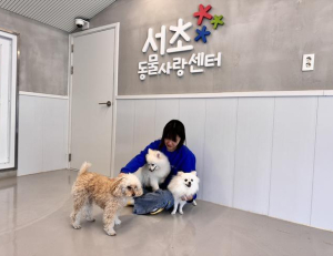 기사 이미지
